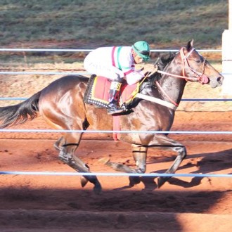 RAJ (Tiger Heart) criação Hs Santarém vence I GP da Soja em Palmeira das Missões e permanece invicto