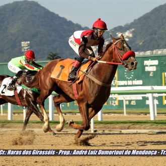 Filhos de Pioneering ganham em Cidade jardim, Gávea e Maroñas