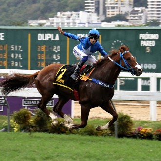 Troféu Mossoró – Perbene (Tiger Heart) é eleito melhor velocista e melhor cavalo de 4 e mais anos
