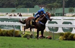 Perbene Gp Major Suckow chegada 2