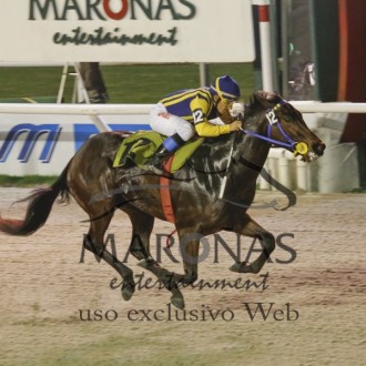 PUSHKIN (Pioneering) criado no Santarém para o Hs Belmont vence Grupo 2 em Maroñas e é o novo líder no Uruguai aos 2 anos