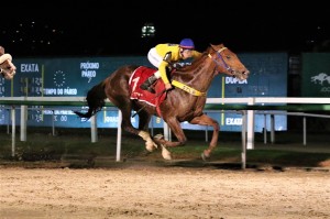 RAfiq 09.06 chegada 2