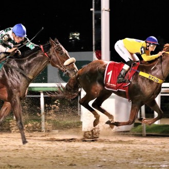 RAFIQ (Pioneering) criação do Haras Santarém vence Clássico Imprensa (L) na Gávea para o Stud Globo