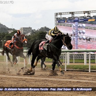 Buckbeak (9 vitórias) e Hatuchay ambos por Pioneering criados no Santarém vencem na Gávea, Regal Amazon (Pioneering) também vence na Gávea