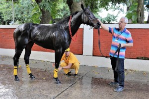 Buckbeak 01.07 treinador dando banho