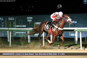 Diamondsprinter 17.07