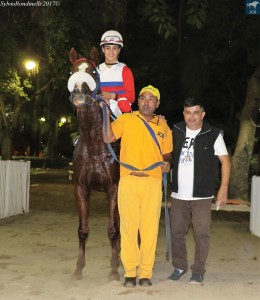 Diamondsprinter 17.07 treinador e cavalariço