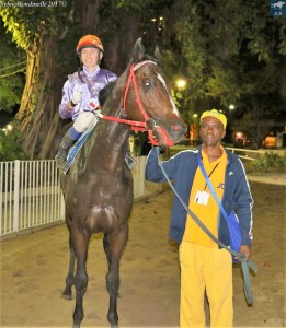 Frombauge 01.07 cavalariço