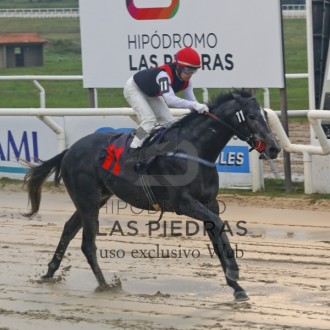 Game of War e Regnum ambos por Pioneering e criados no Santarém vencem em Las Piedars e Gávea