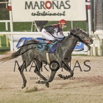 Game of War (Pioneering) criado no Santarém para Paulo Rodolfo Fischer ganha muito fácil em Maroñas