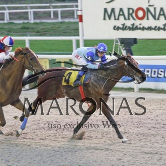 Filhos de Pioneering vencem em Maroñas e Gávea