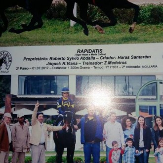 Rapidatis (Tiger Heart) do Santarém vence em Cidade Jardim, Big Brain (Tiger Heart) vence no Cristal