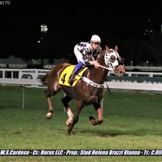 Filhos de Pioneering vencem na sabatina na Gávea