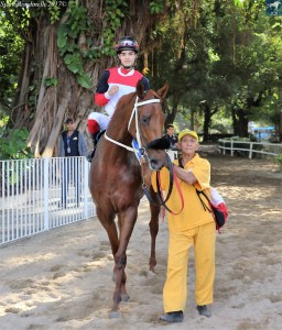 Risolutezza 15.07 cavalariço