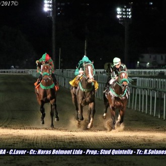 Criados no Santarém Samba de Bamba (Tiger Heart) e Diamondsprinter vencem na Gávea