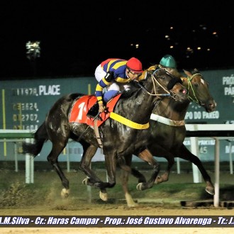Filhos de Tiger Heart ganham na Gávea e Maroñas