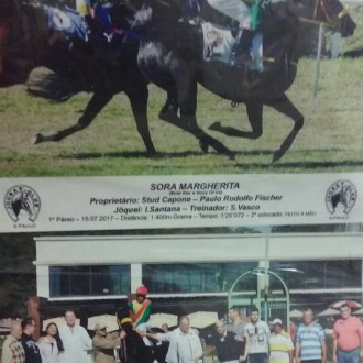 Sora Margherita de Paulo Rodolfo Fischer criada no Santarém vence em Cidade Jardim