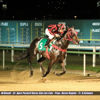 Valente Duque e Apito Sim ambos filhos de Pioneering vencem na noturna da Gávea