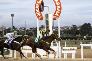 Brazilian Chrome PE Sylvio Bertoli