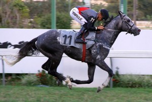 Gatsby di Tiger 06.08