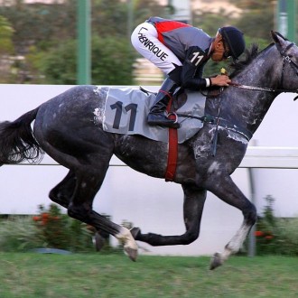 Filhos de Tiger Heart e Pioneering vencem na Gávea, Cidade Jardim e em Las Piedras (Uruguai)