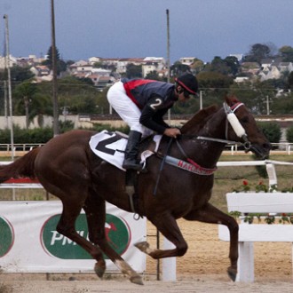 Filhos de Tiger Heart barbarizam no Tarumã