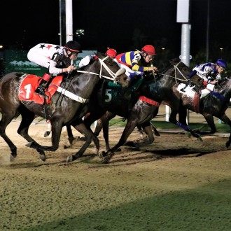 Sophia Tiger (Tiger Heart) criada no Santarém vence na Gávea e Annunciata (Pioneering) vence em CJ