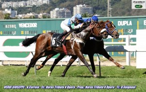 Verdi Di Giuseppe 27.08