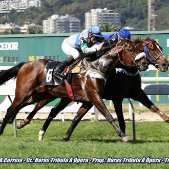 Verdi di Giuseppe e Wotan criados no Santarém para o Haras Tributo à Ópera vencem na Gávea