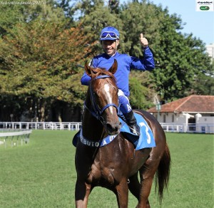 Verdi Di Giuseppe 27.08 jóckey