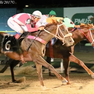 Filhos de Pioneering vencem na Gávea e Las Piedras