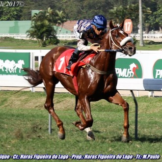Filhos de Tiger Heart vencem em Maroñas, Cidade jardim, Cristal e Gávea