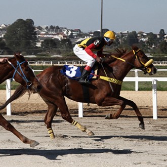 Legal Speaker criada no Santarém vence no Tarumã, Baruc da Serra (Pioneering) fatura em Maroñas