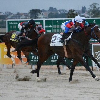 NO AR (Pioneering) da Coudelaria Baptista vence o GP Paraná, PONSARDIN (Pioneering) do mesmo criador faz estréia de luxo, ambos filhos de IF YOU WANT de criação do Haras Santarém