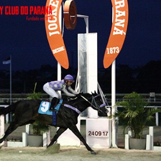Penqueiro QIANG (Tiger Heart) vence a 2ª no Tarumã, Wozzeck (Pioneering) criado no Santarém vence na Gávea