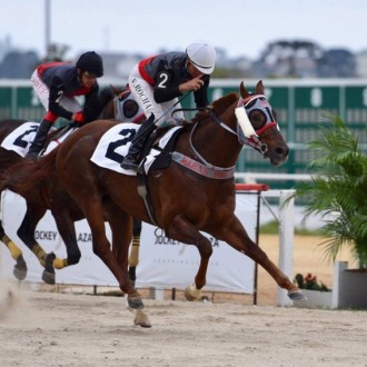 Schweinsteiger e Pensando em Grana ambos filhos de Tiger Heart fazem ponta e dupla no Clássico Ciro Frare (L)