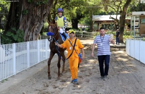 Wozzeck 23.09 treinador cavalariço