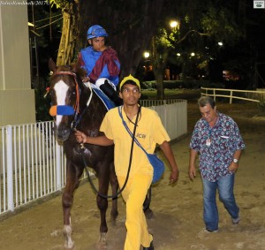 Feeling 02.10 treinador cavalariço