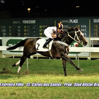 Filhos de Pioneering e Tiger Heart vencem na Gávea, CJ e Maroñas