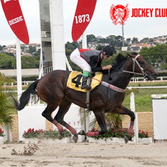 Pensando em Grana e Spirit Invencible ambos por Tiger Heart e Explosive Seller (Pioneering) vencem no Tarumã
