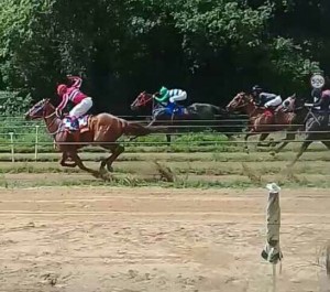 Very Reality 23.10 1