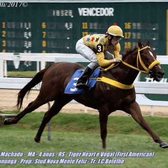 Filhos de Tiger Heart vencem no Tarumã e Gávea