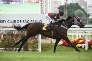 Pensando em Grana 11.11