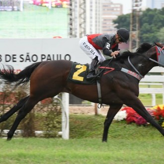 Pensando em Grana (Tiger Heart) vence Grupo 2 em Cidade Jardim, Glorious Flag (Tiger Heart) vence Listed em Maroñas