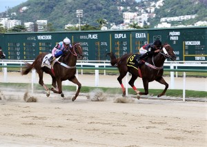 Schweinsteiger 26.11