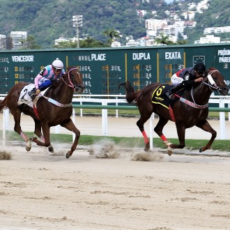 SCHWEINSTEIGER (Tiger Heart) barbariza e vence o GP Hipódromo da Gávea (G3) viajando do Tarumã
