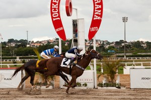 Corridas do Jockey Club do Paraná, 21 de dezembro de 2017