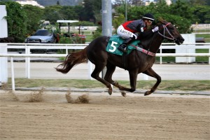 Kshow do Iguassu 20.12