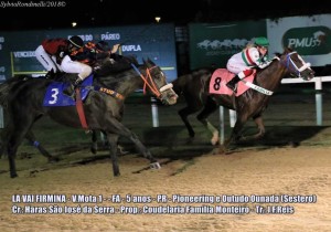 La Vai Firmina 08.01