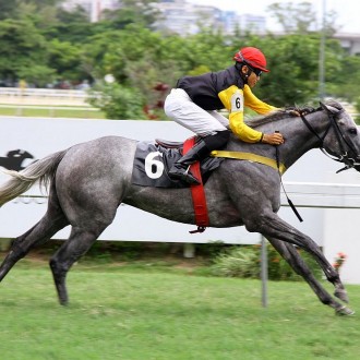 Filhos de Impression vencem 4 carreiras entre Tarumã, Gávea e CJ, sendo com duas colocações clássicas